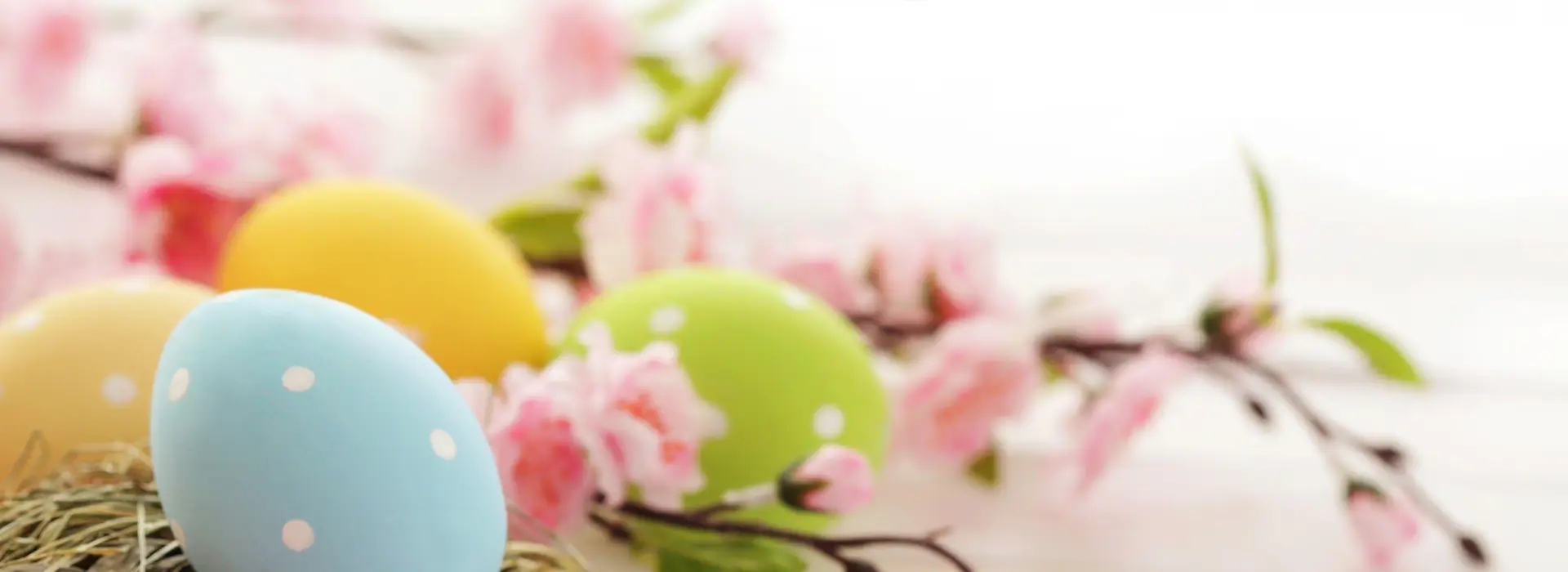 Pâques à la pâtisserie Pop Cooking